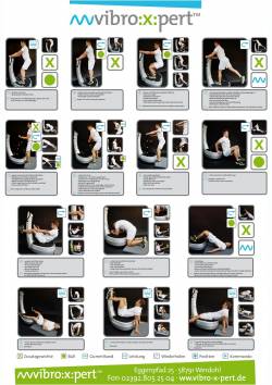 Affiches pour la formation sur les vibrations Power Plate ou d'autres entraîneurs de Vibrations